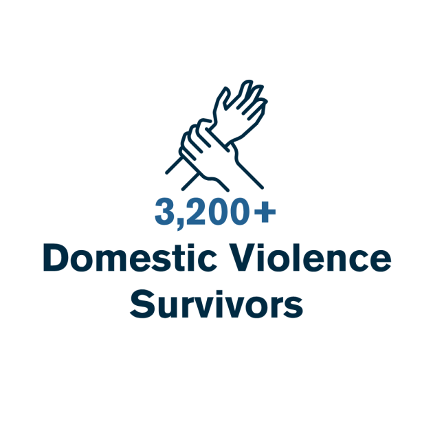 3-DV_Survivors_2025.png