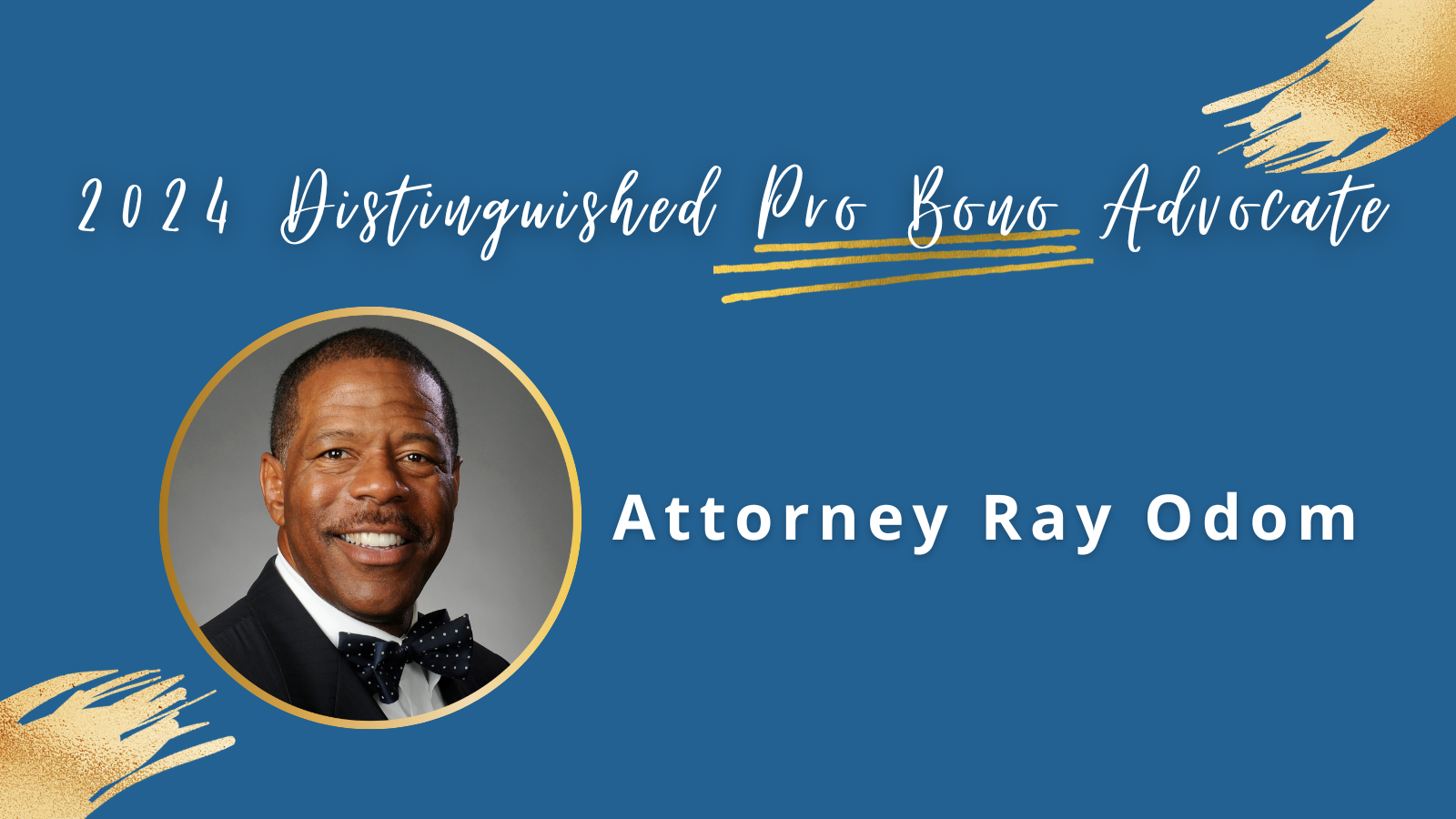 2024_Distinguished_Pro_Bono_Advocate-X.png